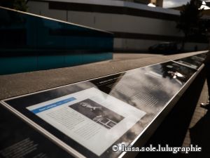 25.9.205 Zieleinlauf in Berlin