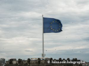 25.9.205 Zieleinlauf in Berlin